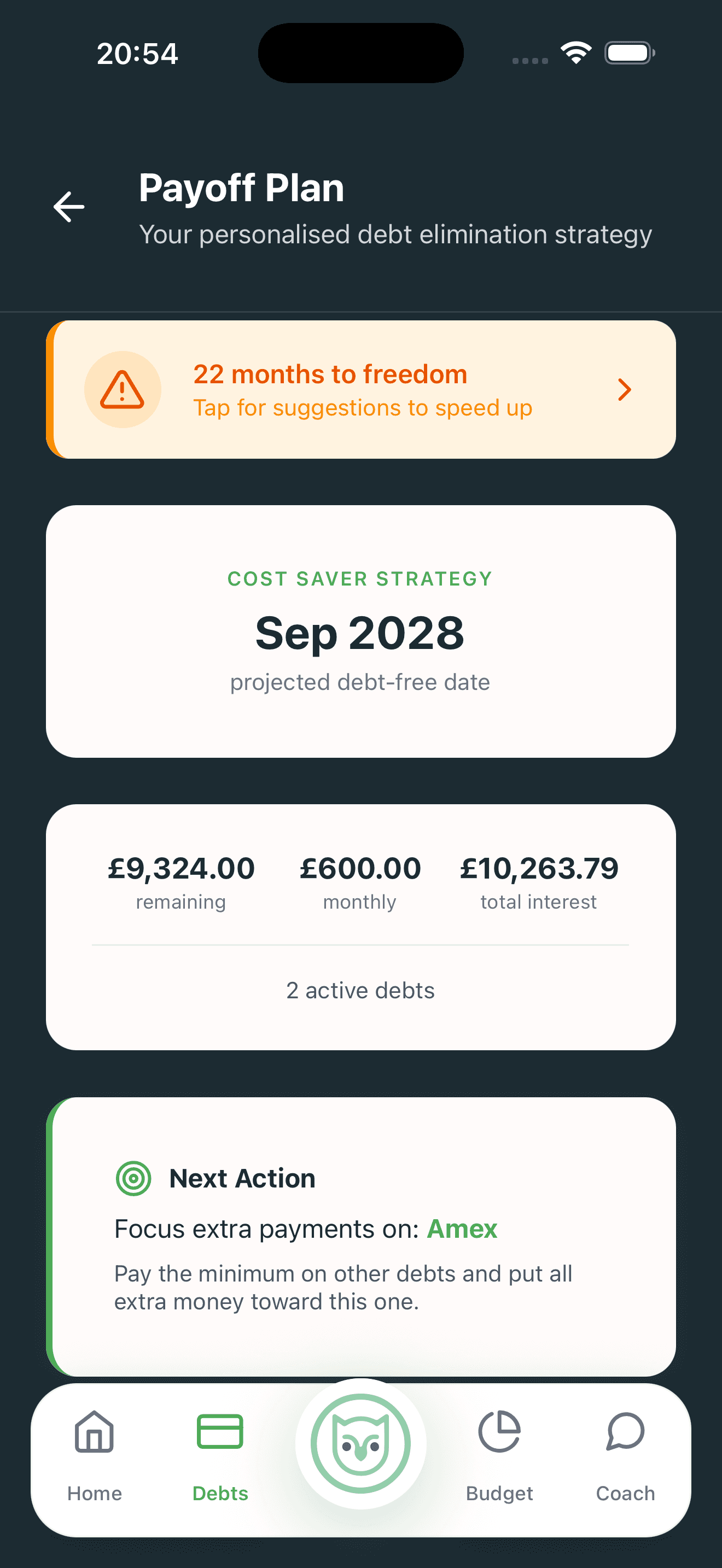 PennyWise Payoff Plan with personalised strategy